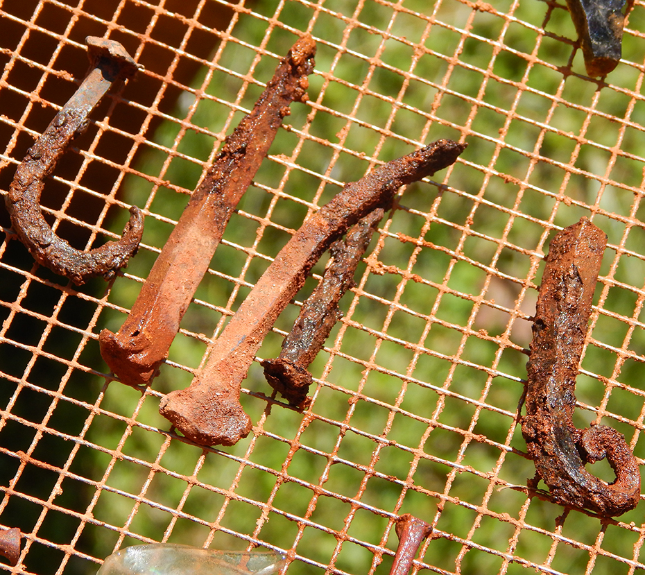 Close up of old nails