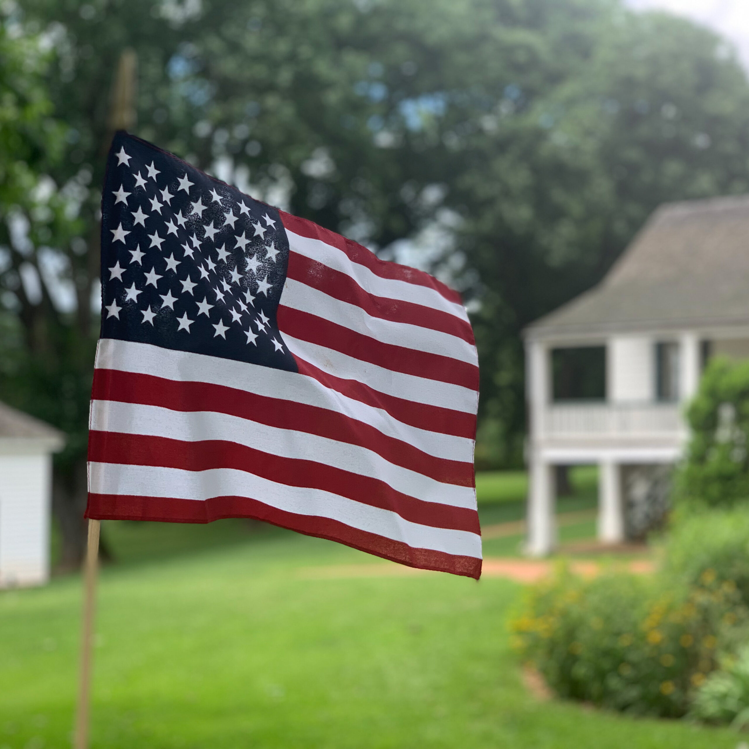 2019-06-19 15.11.53-1